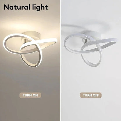 Modern LED Ceiling Light